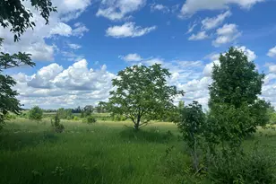 9102 295th St W, Northfield, MN 55057 - Photo 10