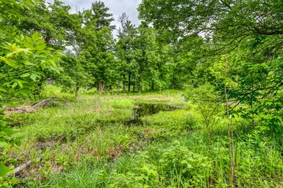 33133 221st Avenue, Bagley, MN 56621 - Photo 58