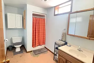 1365 7th St, Dawson, MN 56232 - Photo 50