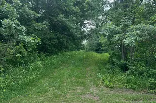 Tbd 50th Street W, Webster, MN 55088 - Photo 1