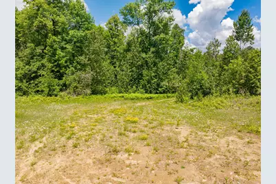 Lot A County Rd 238, Deer River, MN 56636 - Photo 4