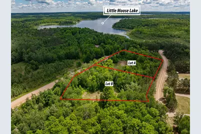 Lot A County Rd 238, Deer River, MN 56636 - Photo 6