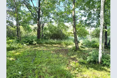 Tbd West Bone Lake Dr, Milltown, WI 54858 - Photo 4