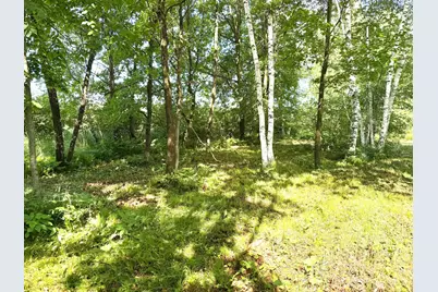 Tbd West Bone Lake Dr, Milltown, WI 54858 - Photo 6