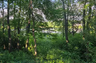 26006 10th St W, Zimmerman, MN 55398 - Photo 2