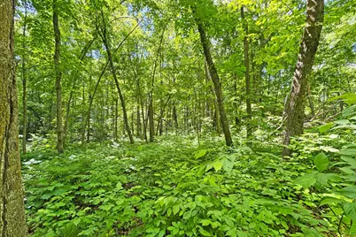 0000 Perry Lake Road, Crosby, MN 56441 - Photo 24