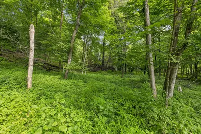 13 Butternut Falls Trail N, Marine on Saint Croix, MN 55047 - Photo 44