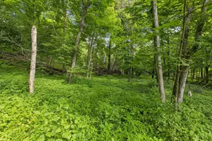13 Butternut Falls Trail N, Marine on Saint Croix, MN 55047 - Photo 44