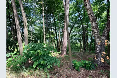 14220 Stocking Lake Road, Menahga, MN 56464 - Photo 10