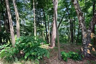 14220 Stocking Lake Rd, Menahga, MN 56464 - Photo 10