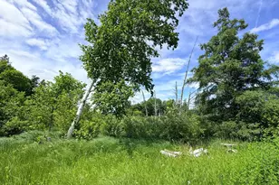 14220 Stocking Lake Rd, Menahga, MN 56464 - Photo 8