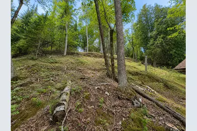 50573 Evergreenpoint Road, Bigfork, MN 56628 - Photo 50