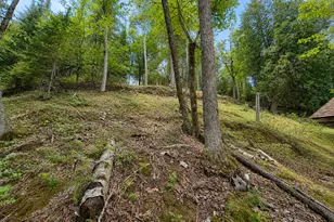 50573 Evergreen Point Rd, Bigfork, MN 56628 - Photo 50