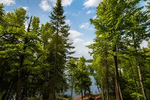 50573 Evergreen Point Rd, Bigfork, MN 56628 - Photo 44