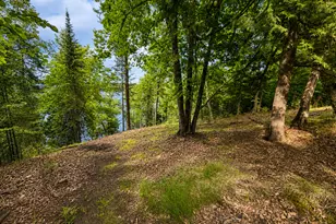 50573 Evergreen Point Rd, Bigfork, MN 56628 - Photo 42