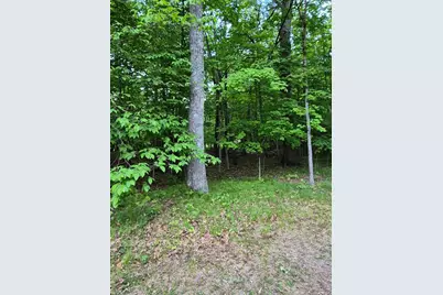 Tbd, Lots 310, 353, and 3 195th Place, McGregor, MN 55760 - Photo 2