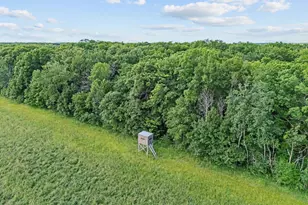 33750 175th St NE, Foley, MN 56329 - Photo 46