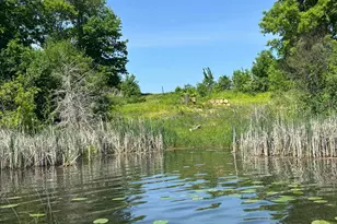 0 80th, Annandale, MN 55302 - Photo 1