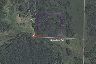 Tbd Butterfield Rd, Hibbing, MN 55746 - Photo 1