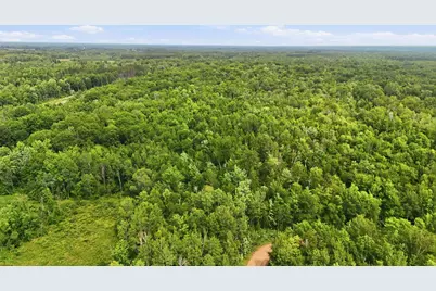 Tbd Taylor Birch Rd, Sandstone, MN 55037 - Photo 14