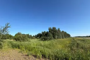 11617 70th Ave, Milaca, MN 56353 - Photo 10