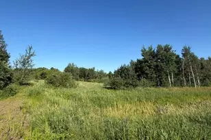 11617 70th Ave, Milaca, MN 56353 - Photo 4
