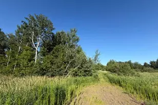 11617 70th Ave, Milaca, MN 56353 - Photo 12