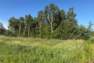 11617 70th Ave, Milaca, MN 56353 - Photo 6