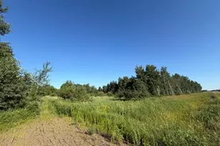 11617 70th Ave, Milaca, MN 56353 - Photo 14