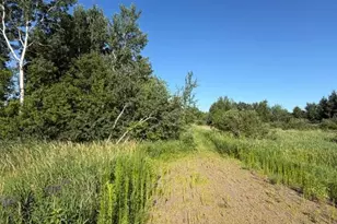 11617 70th Ave, Milaca, MN 56353 - Photo 2