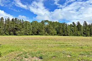 18704 370th St, Menahga, MN 56464 - Photo 26