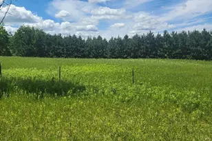 Tbd 145th, Eagle Bend, MN 56446 - Photo 1