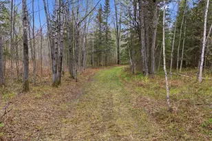 12502 Van Horn Rd, Floodwood, MN 55736 - Photo 36