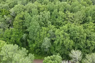 Lot 5 Wilderness Retreat, Pine City, MN 55063 - Photo 1