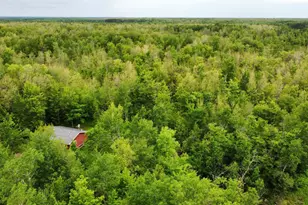 3799 Co Rd 132, Kettle River, MN 55757 - Photo 12