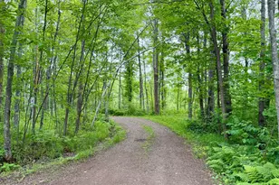 3799 Co Rd 132, Kettle River, MN 55757 - Photo 34