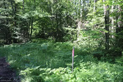 Tbd Sawmill Road, Kerrick, MN 55756 - Photo 2