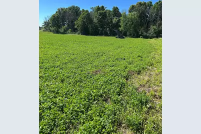 Tbd Old Cty Rd B, Woodville, WI 54028 - Photo 12