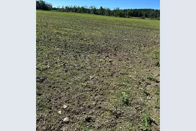 Tbd Old Cty Rd B, Woodville, WI 54028 - Photo 14