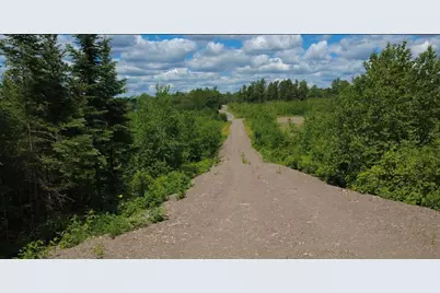 Tbd4.4 Moose Lake Road Road, Duluth, MN 55803 - Photo 4