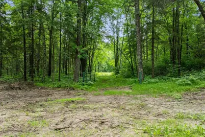 Tbd Pierson Drive, Pequot Lakes, MN 56472 - Photo 4