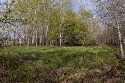 Tbd-58Ac 465th Street, Harris, MN 55032 - Photo 6