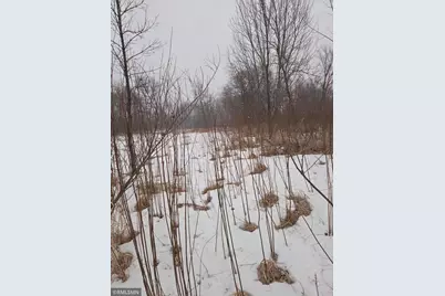 Tbd 484th Lane, Waterville, MN 56096 - Photo 26