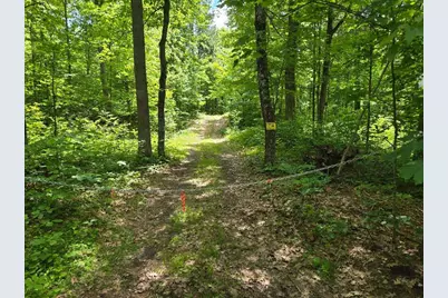 Tbd Fs2564D, Remer, MN 56672 - Photo 1