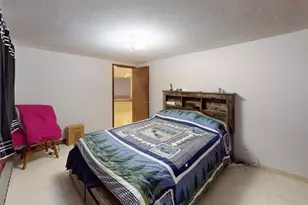 118 Arrowhead Rd, Emmons, MN 56029 - Photo 18