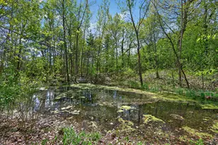 6341 Alwin Cir, Mound, MN 55364 - Photo 36