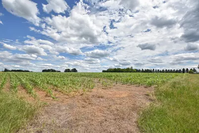 Tbd 165th Ave, Holdingford, MN 56340 - Photo 14