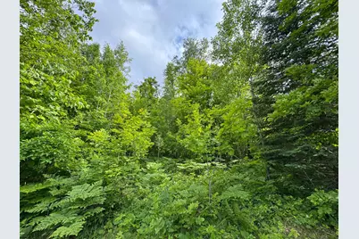 49505 229th Avenue, Bemidji, MN 56601 - Photo 44