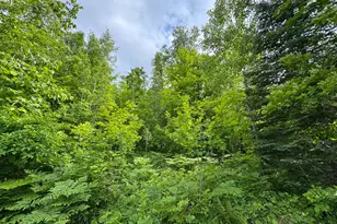 49505 229th Ave, Bemidji, MN 56601 - Photo 44