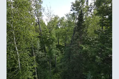29015 County Road 45, Bigfork, MN 56628 - Photo 18